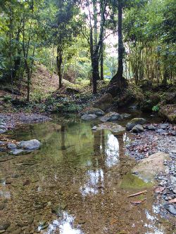 Vue du terrain d'Ojochal, Costa Rica