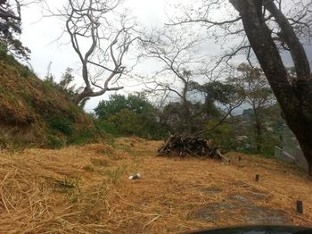 Vue du terrain de Santa Ana, Costa Rica
