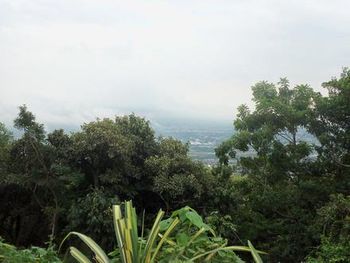 Vue du terrain de Santa Ana, Costa Rica