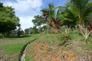 Vue du terrain d'Ojochal, Costa Rica