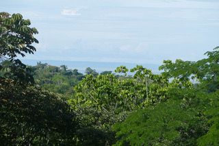 Vue du terrain d'Ojochal, Costa Rica
