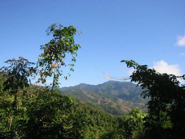 vue de la baie de San Miguel Costa Rica