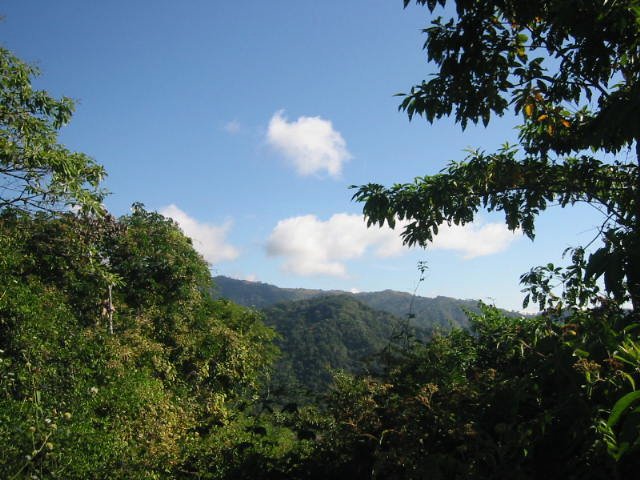 vue de la baie de San Miguel Costa Rica