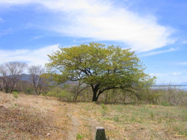 vue du terrain