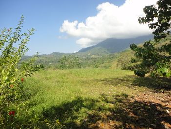 Vue du terrain d'Ojochal, Costa Rica