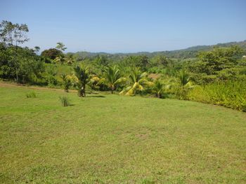Vue du terrain d'Ojochal, Costa Rica