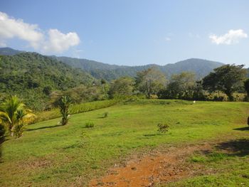 Vue du terrain d'Ojochal, Costa Rica