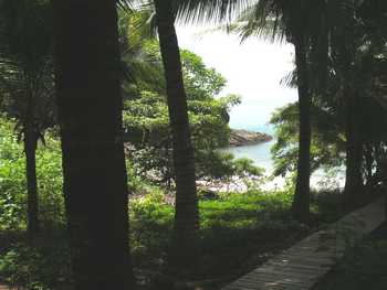Vue du terrain de Playa Flamingo, Costa Rica