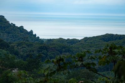 Vue du terrain d'Ojochal, Costa Rica