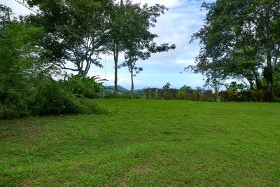 Vue du terrain d'Ojochal, Costa Rica