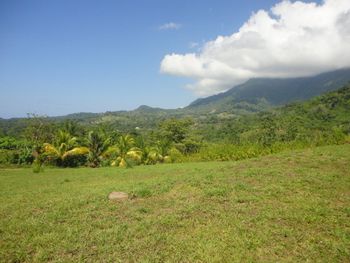 Vue du terrain d'Ojochal, Costa Rica