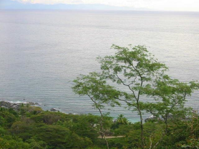 vue du terrain de Las Delicias de Montezuma Costa Rica