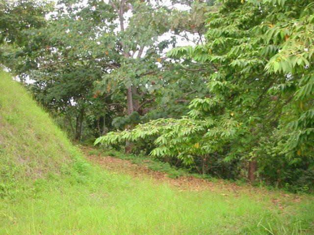 vue du terrain de Las Delicias de Montezuma Costa Rica