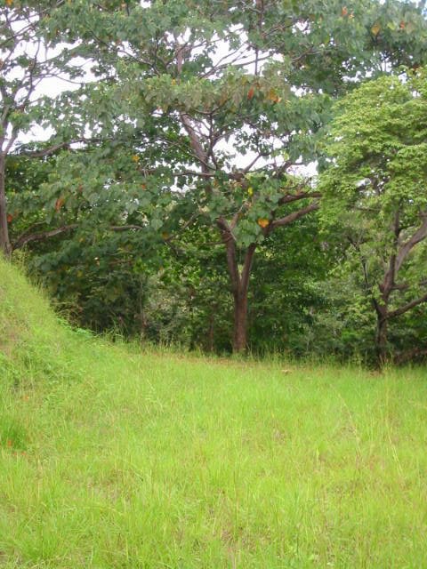 vue du terrain de Las Delicias de Montezuma Costa Rica