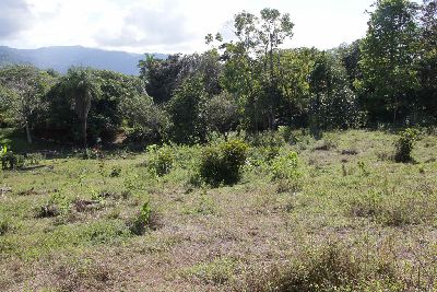 Vue du terrain d'Ojochal, Costa Rica