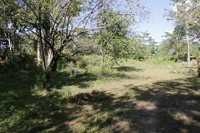 Vue du terrain d'Ojochal, Costa Rica