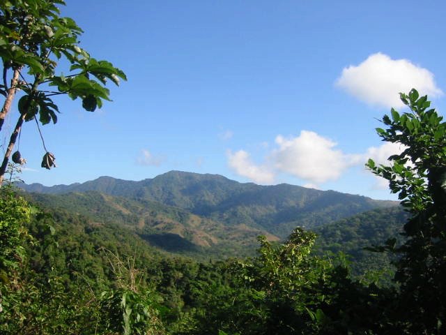 vue du terrain de playa san miguel costa rica