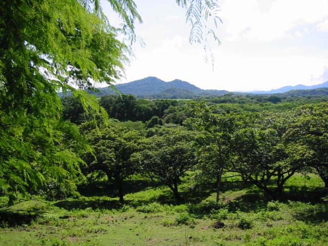 magnifique_terrain_guaitil_costa_rica