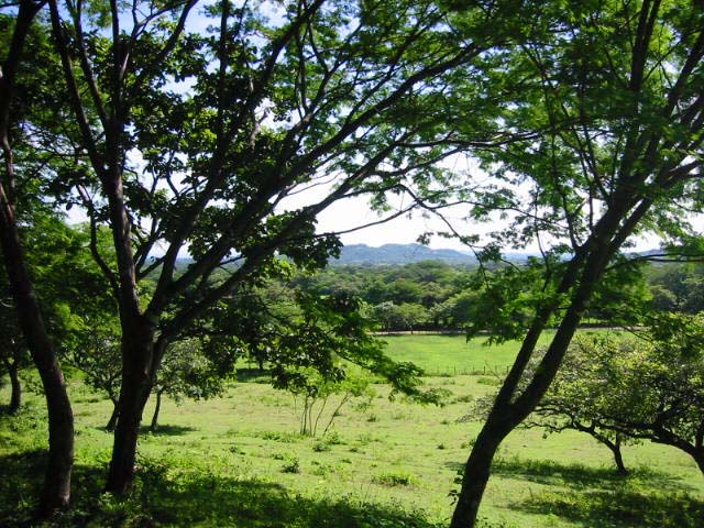 terrain_guaitil_costa_rica