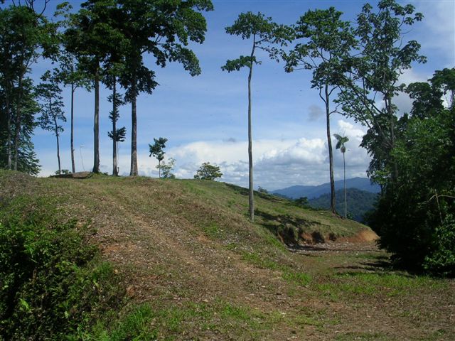 Vue du haut du chemin