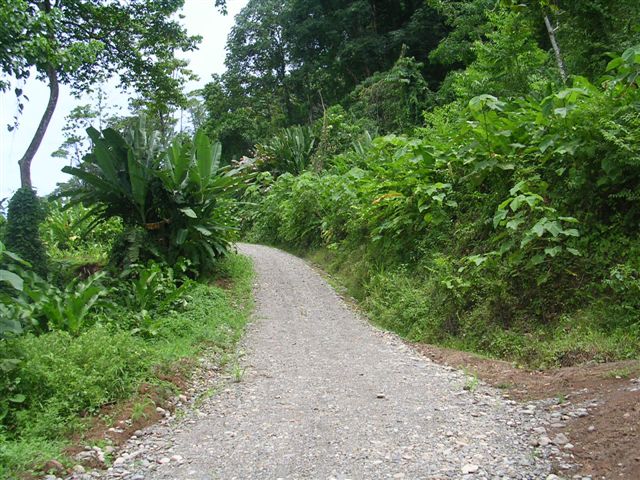 chemin d'entr�e