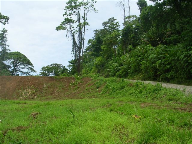 vue du terrain puerto viejo