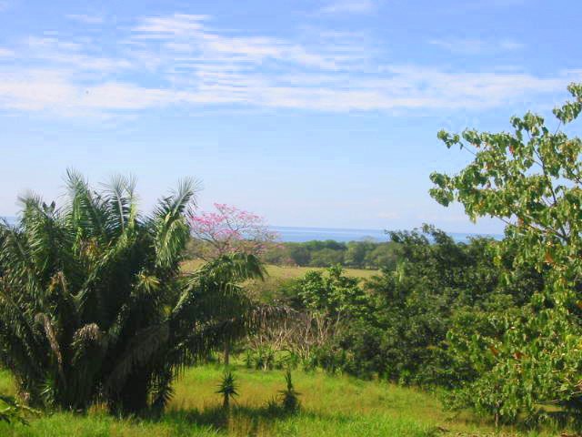 vue de la r�sidence villas Costa de Oro Costa Rica