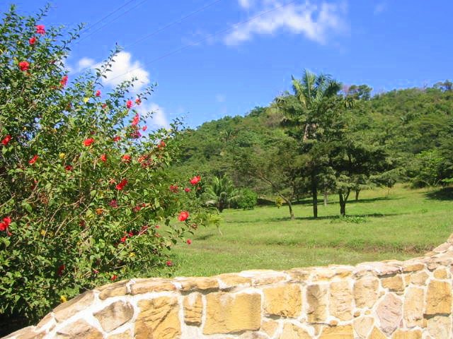 vue de la r�sidence villas Costa de Oro Costa Rica