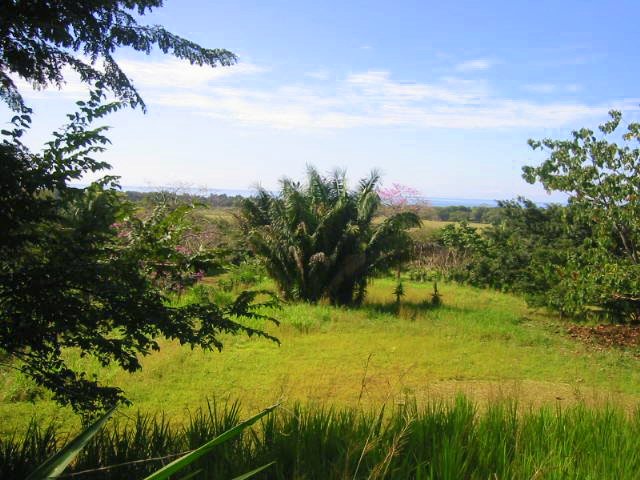 vue de la r�sidence villas Costa de Oro Costa Rica