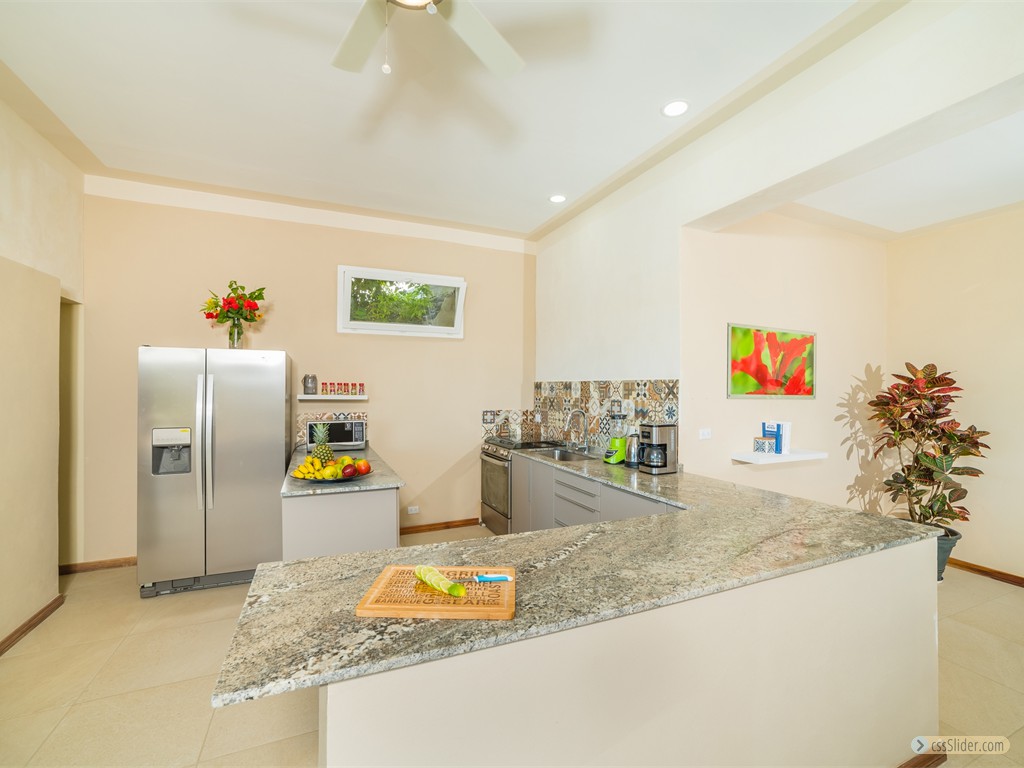 maison_320m2_playa_potrero_costa_rica_6 (2)