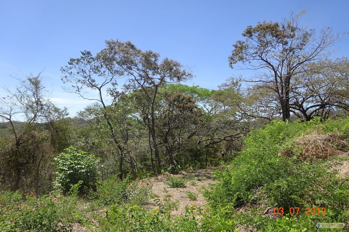 terrain_12000m2_samara_costa_rica_2
