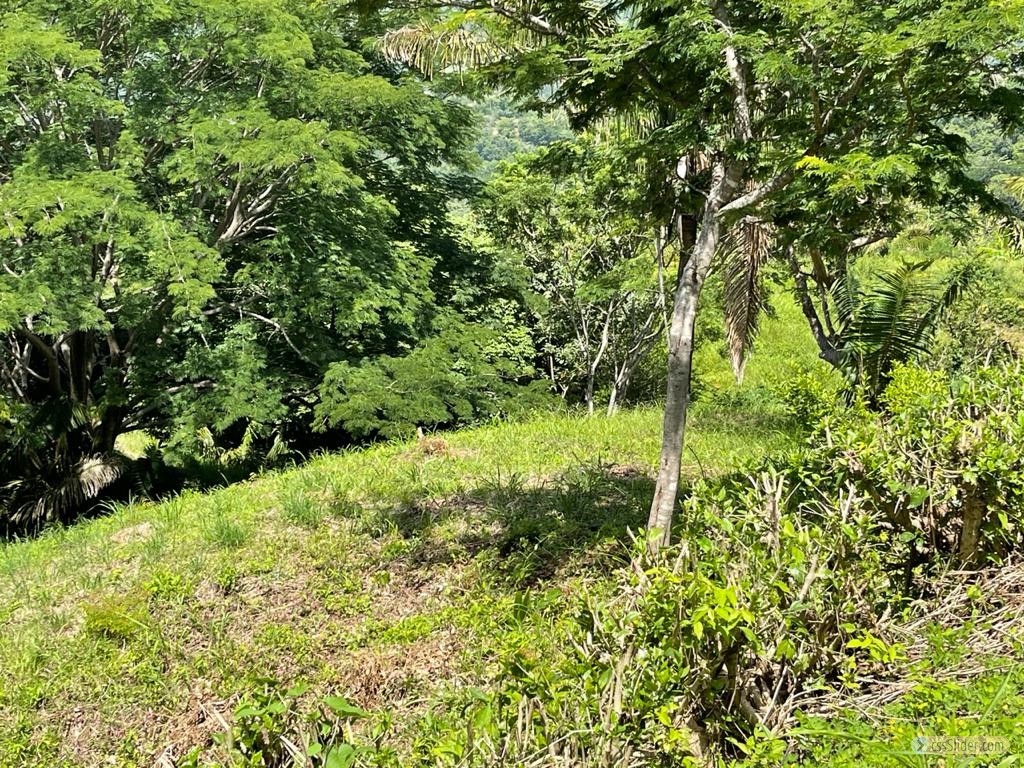terrain_3200m2_carrillo_costa_rica_7