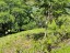 terrain_3200m2_carrillo_costa_rica_7