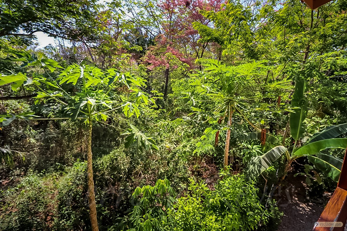cabinas_bb_cote_pacifique_costa_rica_6