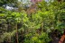 cabinas_bb_cote_pacifique_costa_rica_6