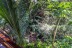 cabinas_bb_cote_pacifique_costa_rica_7