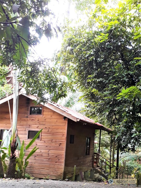 cabinas_pacifique_sud_costa_rica_18