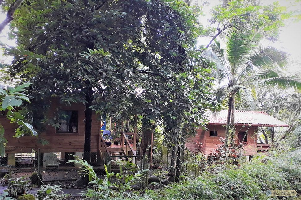 cabinas_pacifique_sud_costa_rica_3