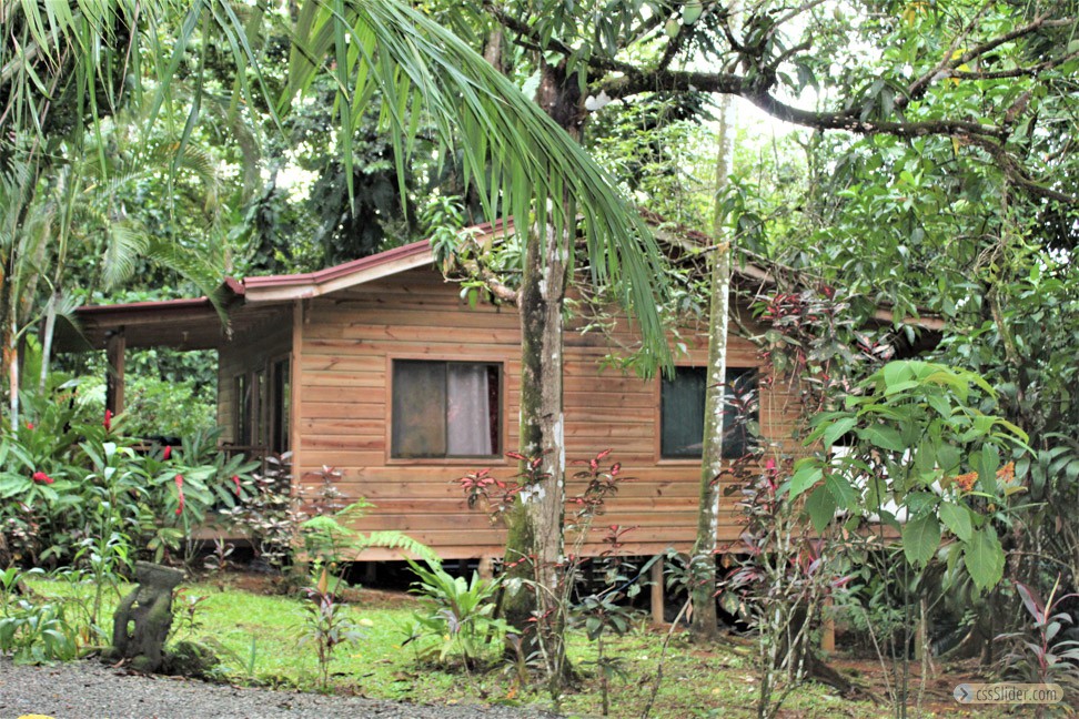 cabinas_pacifique_sud_costa_rica_5