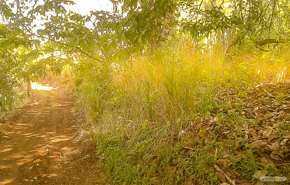 finca_10has_hojancha_costa_rica_10