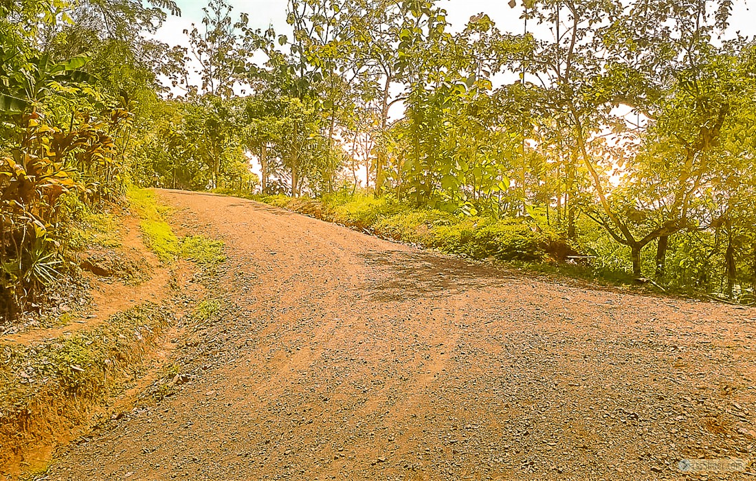 finca_10has_hojancha_costa_rica_11