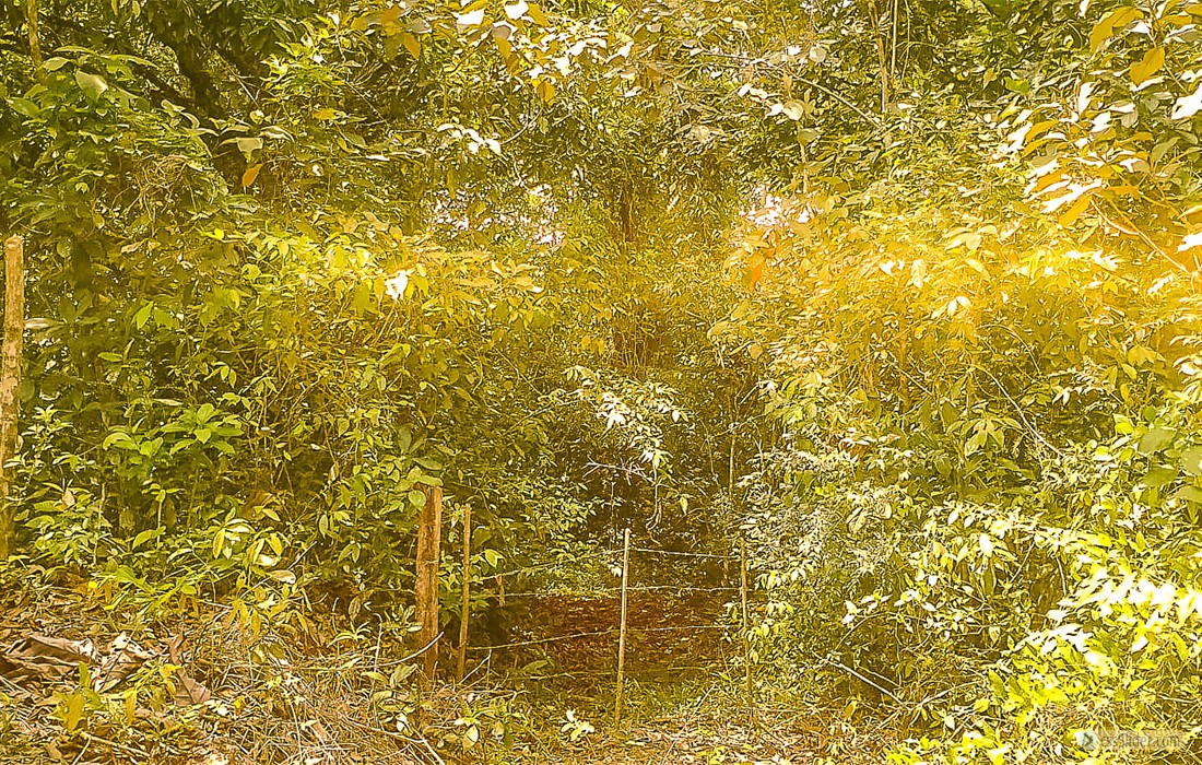 finca_10has_hojancha_costa_rica_2
