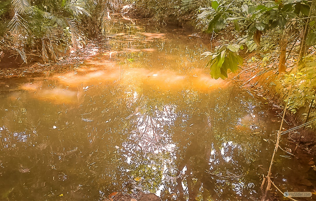 finca_10has_hojancha_costa_rica_3