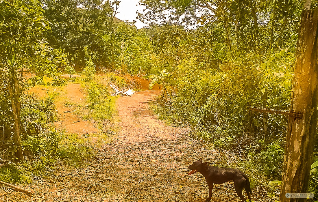 finca_10has_hojancha_costa_rica_9
