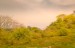 finca_10has_hojancha_costa_rica_1