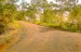 finca_10has_hojancha_costa_rica_11