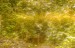 finca_10has_hojancha_costa_rica_2