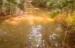 finca_10has_hojancha_costa_rica_3