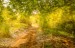 finca_10has_hojancha_costa_rica_4
