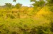 finca_10has_hojancha_costa_rica_5